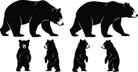 Collection of black silhouettes of large adult bears and cute bear cubs, standing and walking, isolated on white background, vector. © Safiqul