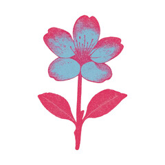 Fototapeta premium PNG Vibrant textured floral illustration