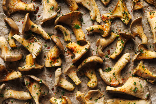 Raw oyster mushrooms in an aromatic marinade, ready for grilling, top view. Mushroom background