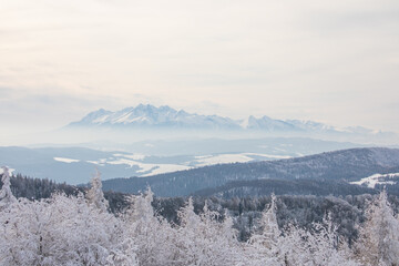 Zimowy widok na Tatry z Jaworzyny Krynickiej. Tatry. Zimna w Tatrach. Jaworzyna Krynicka. Widok z Jaworzyny Krynickiej. © Leszek Szelest