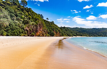 New Chums Beach (Wainuiototo)