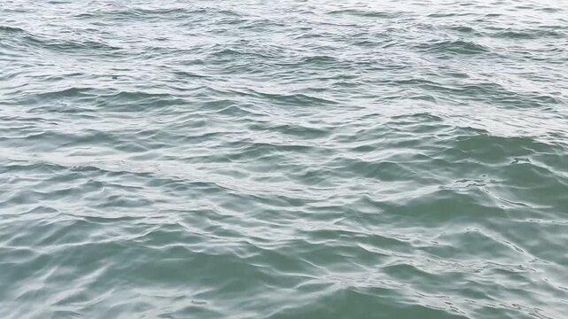 Dynamic ocean waves rippling with natural energy and serene motion under clear sky