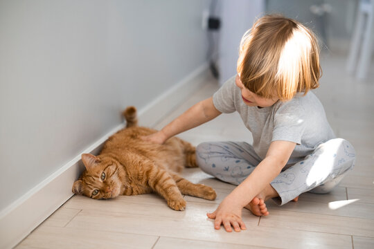 Little boy petting a ginger tabby cat whos laying on the floor at home with light interior. Cute funny picture of kids and pets friendships. Life with domestic cat. Pets life.
