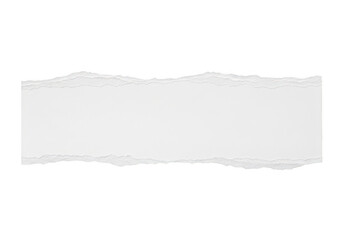 A serene, abstract landscape with soft, flowing lines and a soothing color palette isolated on transparent background