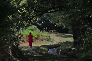 Fototapeta premium Woman in a red dress walking through a forest next to a stream