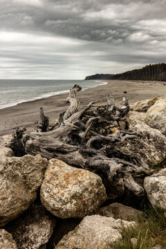 Large driftwood logs on rocky shore at Bruce Bay, West Coast of New Zealand. Dramatic coastal landscape with moody sky and ocean waves.