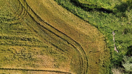 Green and brown fields seen from the air
