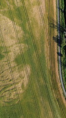 Green and brown fields seen from the air