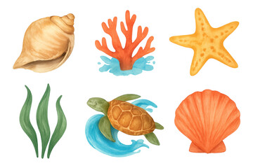 Obraz premium Watercolor set of marine elements: sea turtle, shells, starfish, coral and seaweed on transparent background