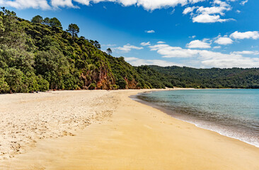 New Chums Beach (Wainuiototo)