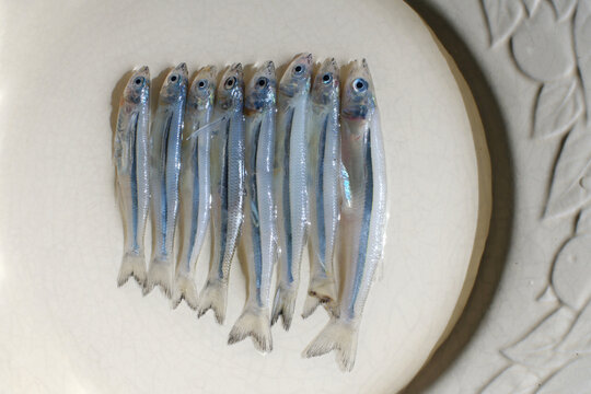 Cornalitos lining up on white plate ready for cooking