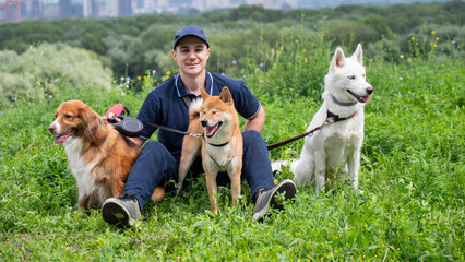 A Caucasian man walks with three dogs. Dog walker.