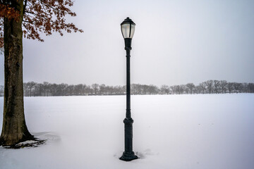 Brooklyn after the Blizzard