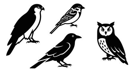 Diverse bird silhouettes collection: falcon, sparrow, crow, and owl vector illustration set