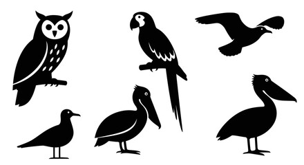 Diverse Bird Silhouettes Collection: Owl, Parrot, Pelican, and Seagull Vector Icons