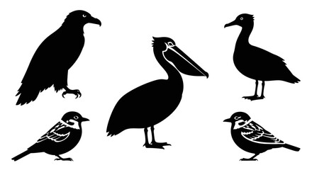 Fototapeta premium Diverse Bird Silhouettes Collection: Pelican, Eagle, Waterfowl, and Small Birds