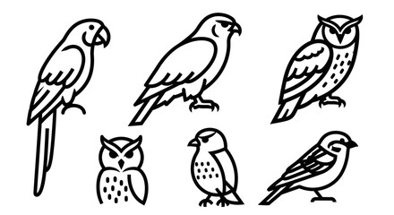 Diverse Bird Species Line Art Icons Set