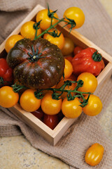 Heirloom tomato and yellow cherry tomatoes on vine in wooden box with rustic kitchen towel