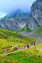 Fototapeta premium Wanderweg von der Pizolhütte zum Wildsee (5-Seen-Wanderroute) im Pizolmassiv, Kanton St. Gallen, Schweiz