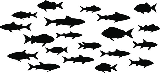 School of fish silhouettes