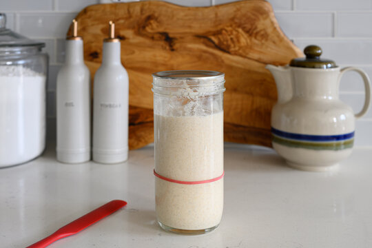 Sourdough Bread Starter 