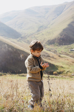 Todder During A Hike In The Mountains