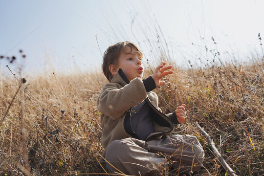 Todder Looks At The Plants 