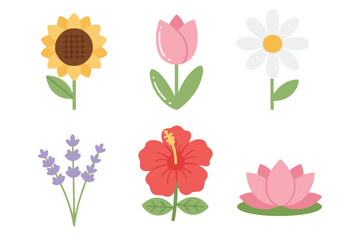 Beautiful flower collection set with sunflower, tulip, daisy, lavender, hibiscus, and lotus flower vector illustration in flat design