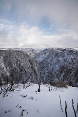 Wide shot of Snowy mountains in Colorado