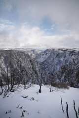 Wide shot of Snowy mountains in Colorado
