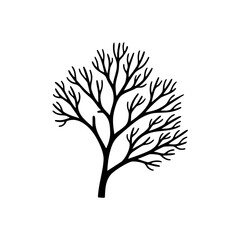 Obraz premium Black silhouette of a bare tree with branches.