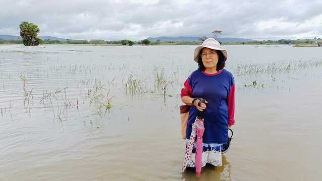 Elderly Southeast Asian woman standing in the flooded paddy field