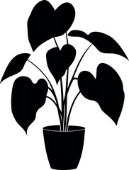 Philodendron Birkin Potted Tropical Leaf Silhouette Illustration © shahadat