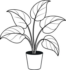 Philodendron Birkin Potted Tropical Variegated Leaf Line Art Illustration © shahadat