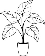 Philodendron Birkin Potted Tropical Variegated Leaf Line Art Illustration © shahadat