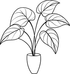 Philodendron Birkin Potted Tropical Leaf Line Art Illustration © shahadat