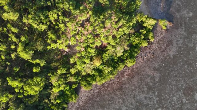 Drone aerial view of Palomaria Island basecamp near Coron in the Philippines