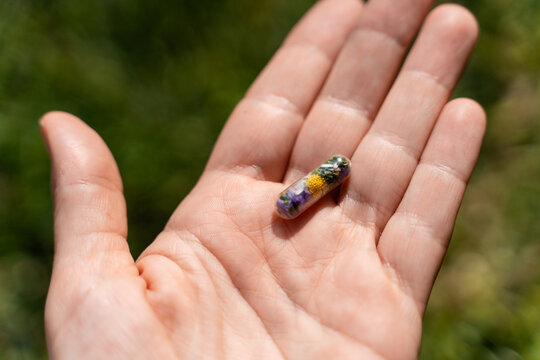 Hand Holding Capsule With Dried Flowers