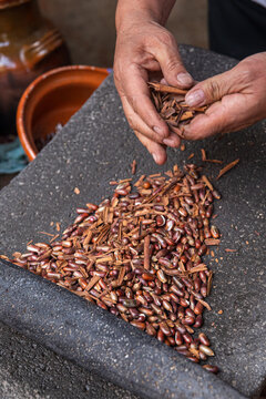 Hands Sorting corn and cinnamon on a Traditional Grinding Stone