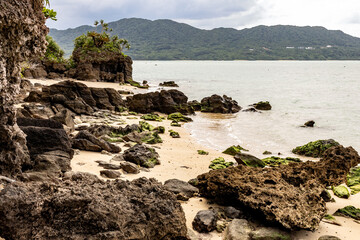 Obraz premium Dramatic rock formation and subtropical vegetation on Ishigaki Island beach, Japan