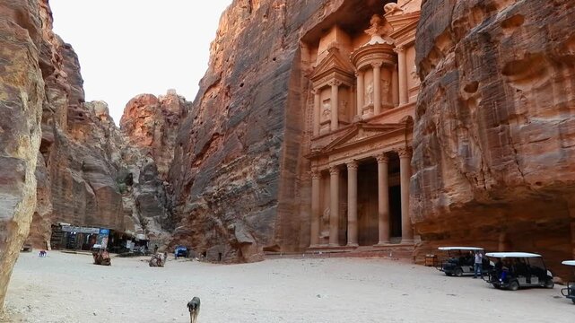 Petra, Jordan : A dog is walking in front of Treasury in Petra (the Rose City) one of the Seven Wonders of the World.