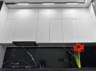 Stylish kitchen with stove, cabinets and potted houseplant, low angle view. Interior design