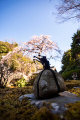 鎌倉26219　海蔵寺5　枝垂れ梅