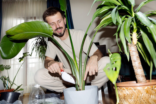 A young man is repotting houseplants