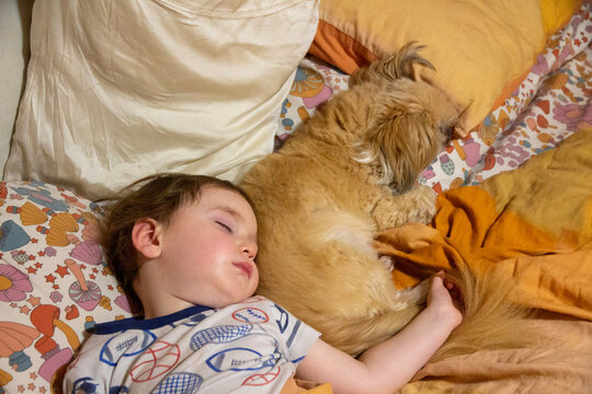 Child and Dog Peacefully Sleeping Together in a Cozy Lived-In Bedroom
