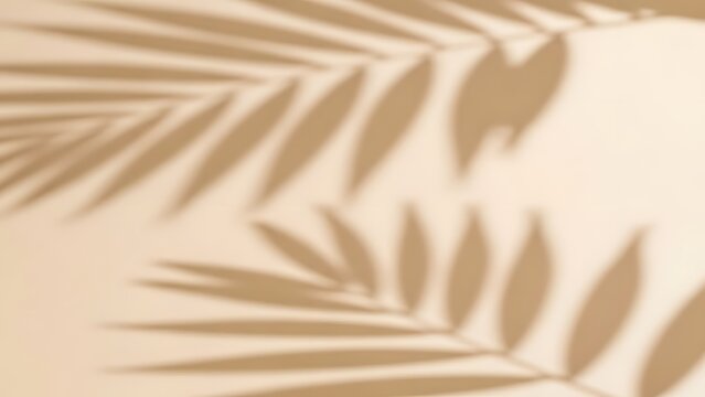soft focus abstract background with blurred palm leaf shadows gentle tropical ambiance warm neutral tones natural organic overlay for design