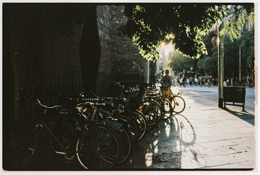 Bicycles Lined up Along a Sunlit Street in the Evening