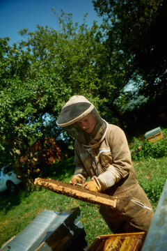 Beekeeper in Protective Suit