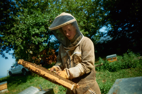 Beekeeper in Protective Suit Inspecting Honeycomb