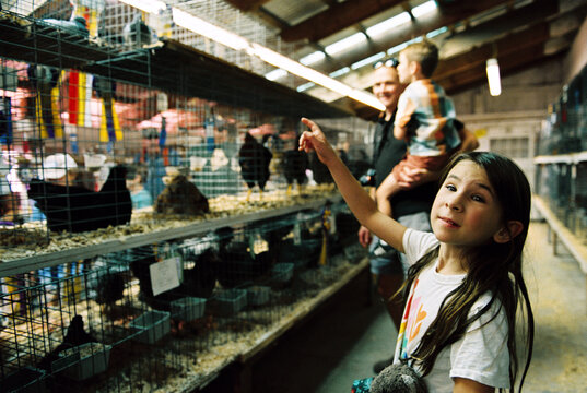 Family visiting the poultry barn at the county fair